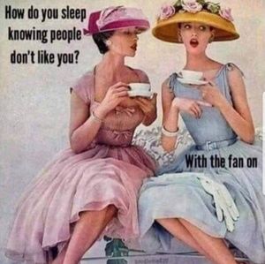 Meet your Posher, Maggie